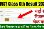 JNVST Class 6th Result 2025